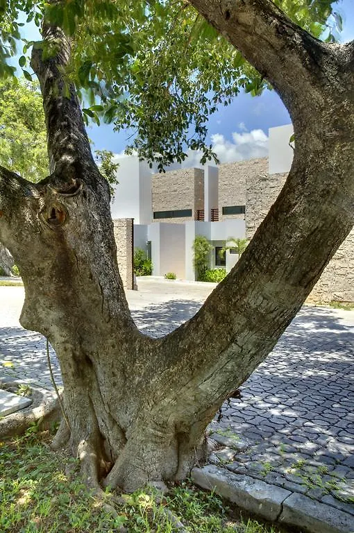 Villa 3 Rincon De Mar Playa del Carmen Prázdninový dům